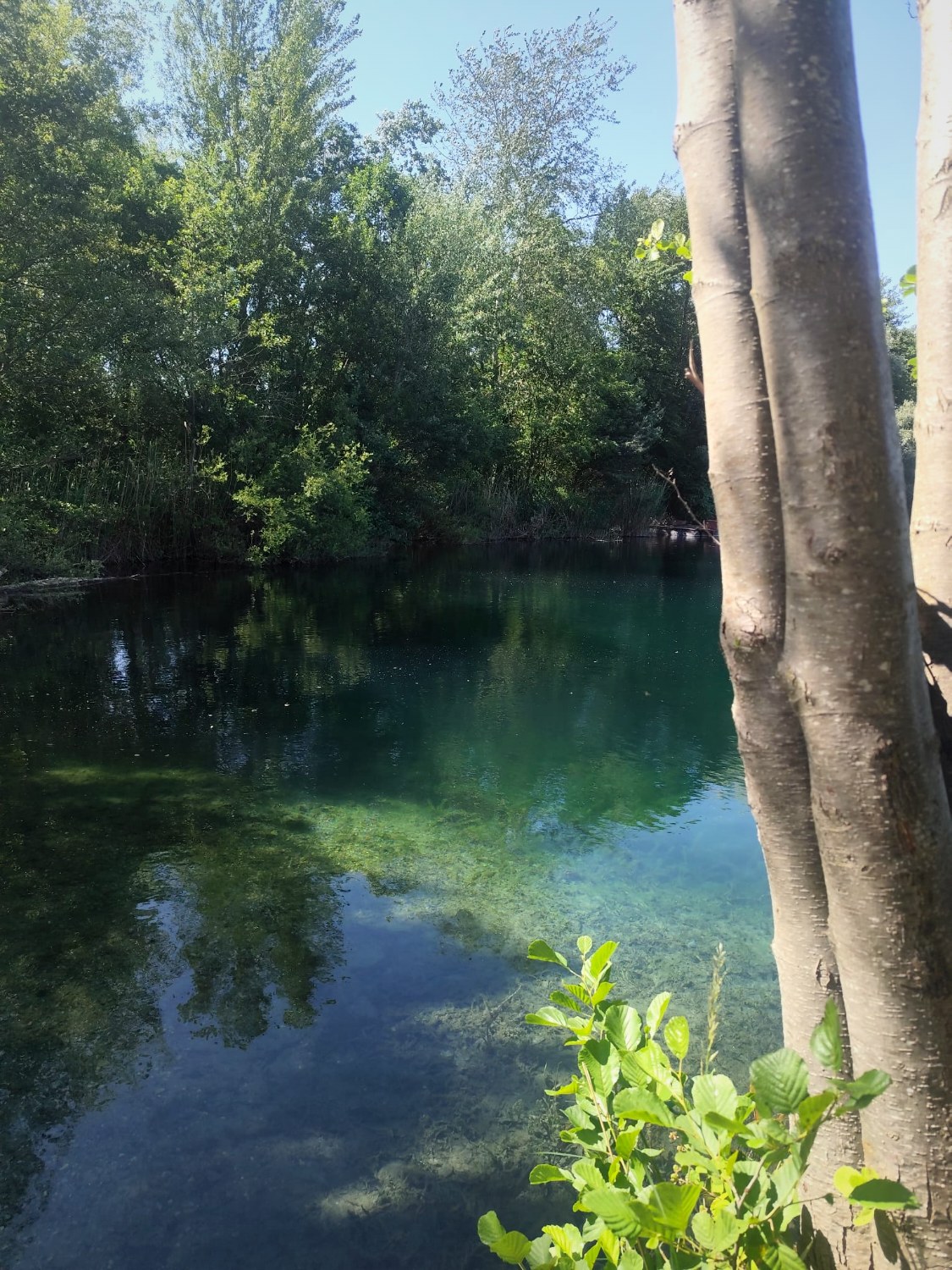 Klares Wasser an einem grünen, geschützten Ufer