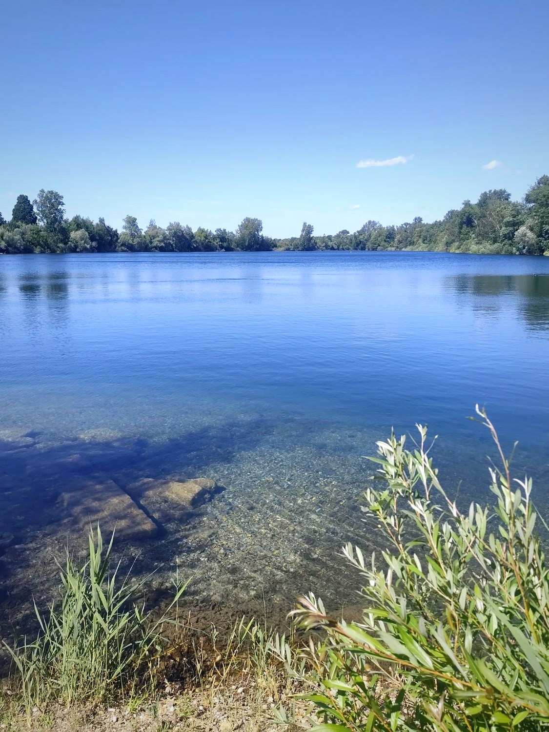 Klarer, stiller See im Grünen